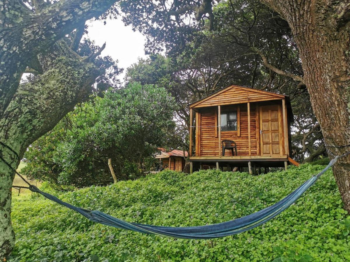 Bulungula Xhosa Community Lodge Номер фото